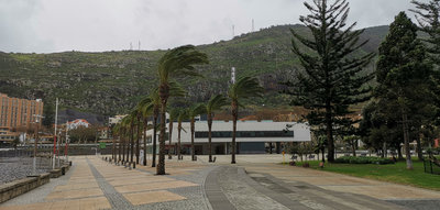 IMG_20190214_140942